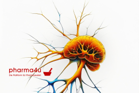 pDL Webinar – Aspekte der Schmerztherapie bei Polymedikation Teil 2 / Polyneuropathien (09.10.)